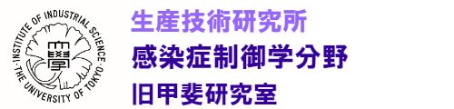 東京大学生産技術研究所甲斐研究室